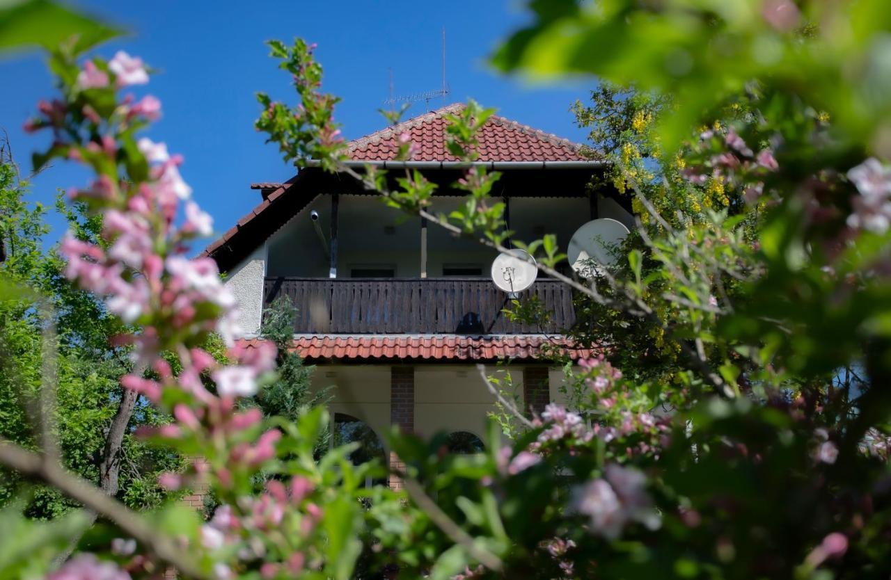 Alabastrom Panzio Es Etterem Bed & Breakfast Bogács Exterior photo